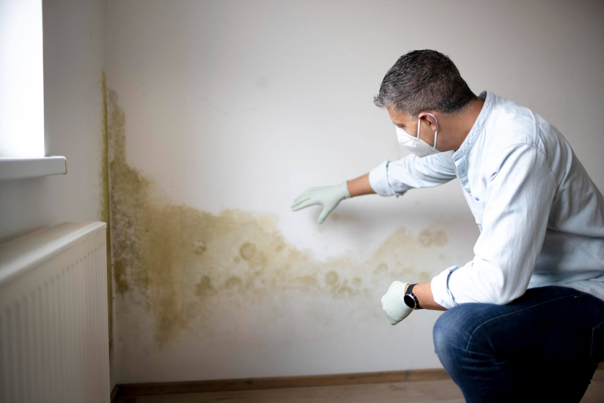 Mold Remediation Project In Newberry FL